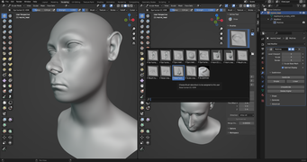 La versió 3.5 introduí pinzells amb suport per al Vector Displacement Mapping que es podien emprar per a crear formes complexes amb una sola passada. En la imatge resultant s'han carregat imatges OpenEXR de dues dimensions per al nas, la boca, els ulls i les orelles, donant la sensació d'un cap íntegrament esculpit en tres dimensions. Arxiu creat per Daniel Bystedt I facilitat per la fundació Blender.