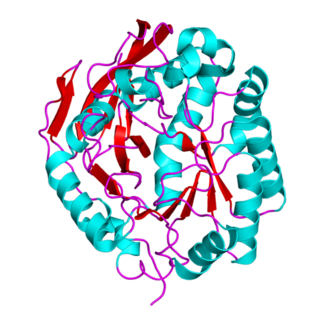 <span class="mw-page-title-main">CAD protein</span> Protein-coding gene in the species Homo sapiens