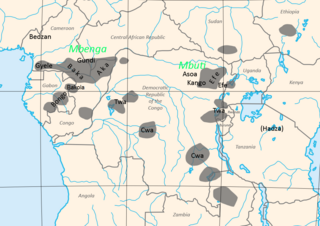 <span class="mw-page-title-main">Classification of Pygmy languages</span>