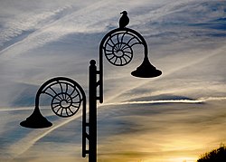 Lamp posts shaped like ammonites