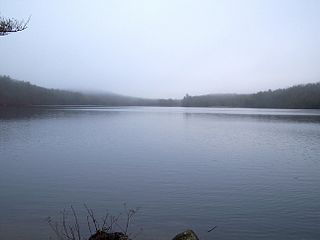 <span class="mw-page-title-main">Browning Pond</span> Lake in the U.S. state of Massachusetts