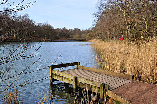 <span class="mw-page-title-main">Cannop Ponds</span>