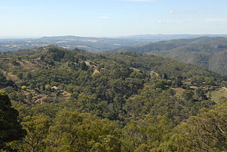 <span class="mw-page-title-main">Cherryville, South Australia</span> Town in South Australia