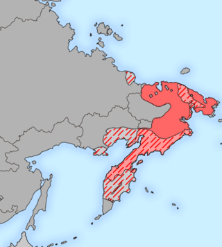 <span class="mw-page-title-main">Chukotko-Kamchatkan languages</span> Endangered language family of the Russian Far East