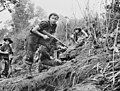 Image 21Commandos from the 2/3rd Independent Company in New Guinea during July 1943 (from Australia in World War II)