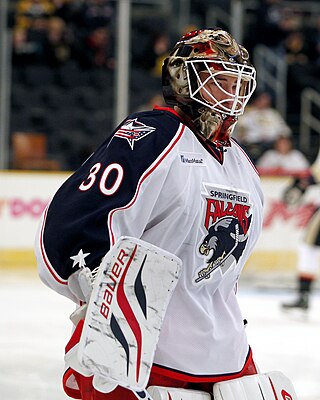 <span class="mw-page-title-main">Curtis McElhinney</span> Canadian ice hockey player (born 1983)