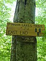 Example of blaze denoting a trail's end in Catskill Park, New York