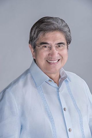 <span class="mw-page-title-main">Gregorio Honasan</span> Filipino politician