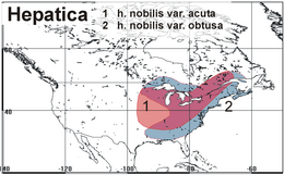 Hepatica distribution America.png