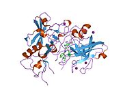 PDB 1w51 EBI.jpg