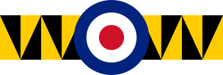 No. 74 Squadron RAF Defunct flying squadron of the Royal Air Force