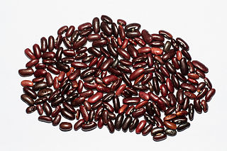 <span class="mw-page-title-main">Kidney bean</span> Variety of the common bean (Phaseolus vulgaris)