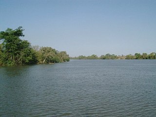 <span class="mw-page-title-main">River Gambia National Park</span> National park in the Gambia