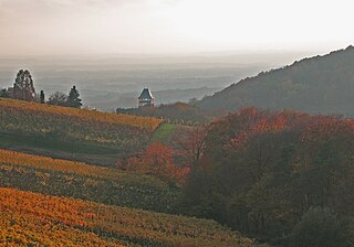 <span class="mw-page-title-main">Steirisches Vulkanland</span> Extinct volcanic field in Styria, Austria