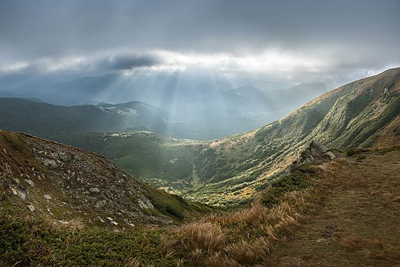 View of Carpathian National Park from Hoverla. Carpathian National Park, Ivano-Frankivsk Oblast Вид з Говерли на Карпатський національний парк. Карпатський національний природний парк, Івано-Франківська область © Balkhovitin