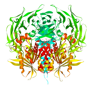 <span class="mw-page-title-main">Dipeptidyl peptidase-4</span> Mammalian protein found in humans