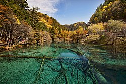 Die "Meer van vyf blomme" in Sichuan