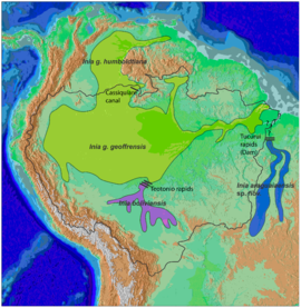 Distribución de Inia geoffrensis