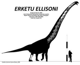 <i>Erketu</i> Sauropod genus from the Late Cretaceous