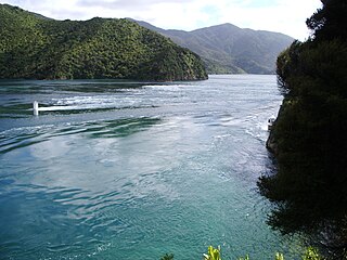 Ocean power in New Zealand