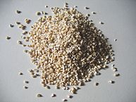 Groats are often soaked before cooking to soften them, and are used in soups and porridges.