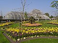 The Palm House and Parterre at Kew Gardens