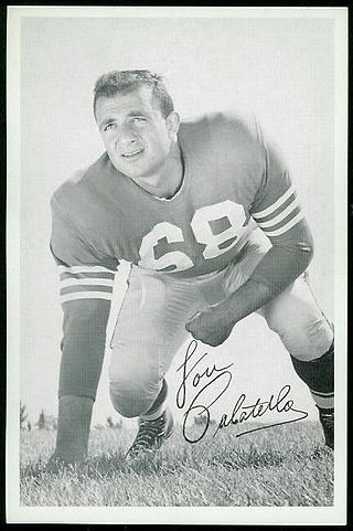 <span class="mw-page-title-main">Lou Palatella</span> American football player (born 1933)