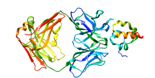 <span class="mw-page-title-main">Mesothelin</span> Protein found in humans