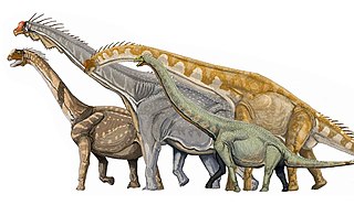 <span class="mw-page-title-main">Neosauropoda</span> Extinct clade of dinosaurs