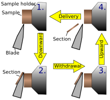 Principle of sample movement for making a cut on a rotary microtome Microtome principle.svg