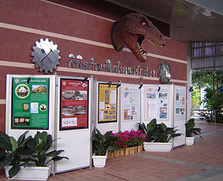 <span class="mw-page-title-main">Phu Wiang Dinosaur Museum</span> Geological museum with fossil exhibits