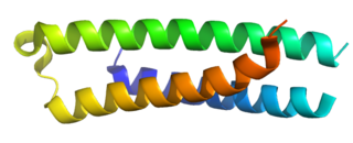 <span class="mw-page-title-main">STX10</span> Protein-coding gene in the species Homo sapiens