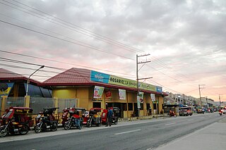 <span class="mw-page-title-main">Rosario, La Union</span> Municipality in La Union, Philippines