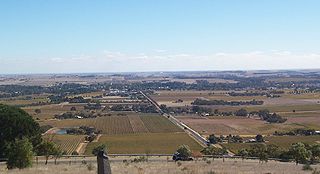 <span class="mw-page-title-main">Barossa Valley</span> Region in South Australia