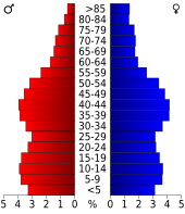 Bevolkingspiramide Monroe County