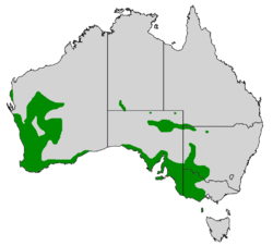 Distribución natural de la cigüeñuela pechirroja