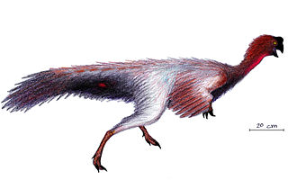 <i>Jiangxisaurus</i> Extinct genus of dinosaurs