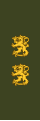 Kenraalimajuricode: fi is deprecated (Swedish: Generalmajorcode: sv is deprecated ) (Finnish Army)[25]