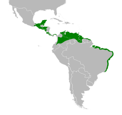 Distribuição do sabiá-da-praia