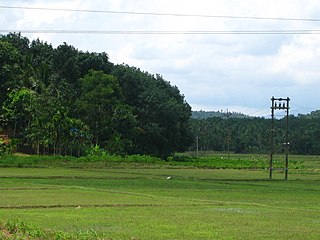 <span class="mw-page-title-main">Payyampally</span> Town in Kerala, India