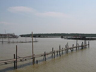 <span class="mw-page-title-main">Kukup Island</span> Island in Pontian District, Johor, Malaysia