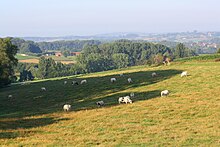 Vlaamse Ardennen 04.jpg