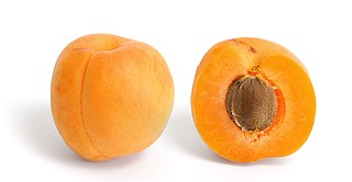 <span class="mw-page-title-main">Apricot</span> Cultivated fruit