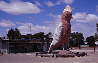 County of Buxton Cadastral in South Australia