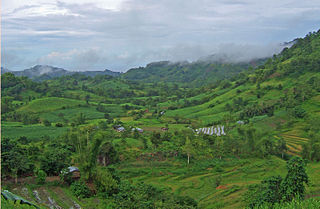 <span class="mw-page-title-main">Candoni</span> Municipality in Negros Occidental, Philippines