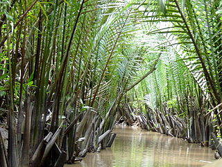 <span class="mw-page-title-main">Indochina mangroves</span> Ecoregion in Southeast Asia