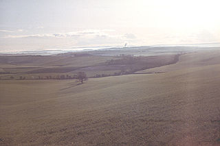 <span class="mw-page-title-main">Dorset Downs</span>