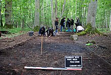 Dans une petite clairière, des gens retournent à la main la terre d'un secteur délimité par des rubans tandis que d'autres font des mesures à l'aide d'instruments.