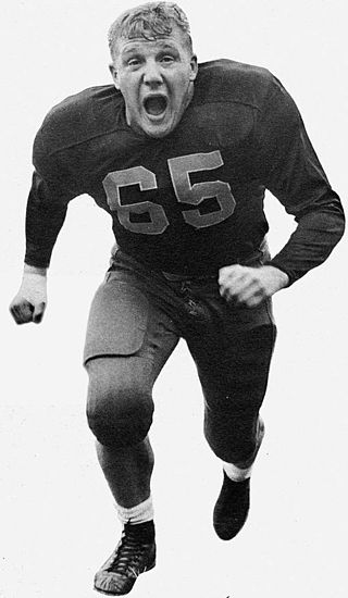 <span class="mw-page-title-main">Joe Schmidt (American football)</span> American football player and coach (1932–2024)