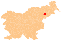 Location of the Municipality of Kidričevo in Slovenia